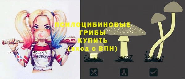 а пвп мука Абаза