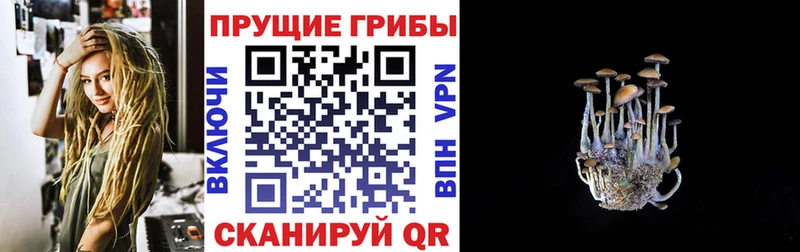 Галлюциногенные грибы мухоморы  МЕГА ТОР  площадка официальный сайт  Злынка 